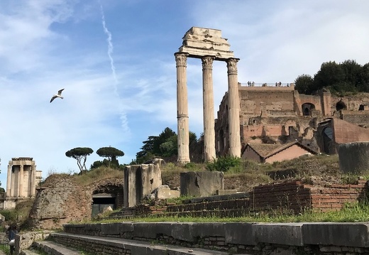 Rome - Forum Temple des Dioscures