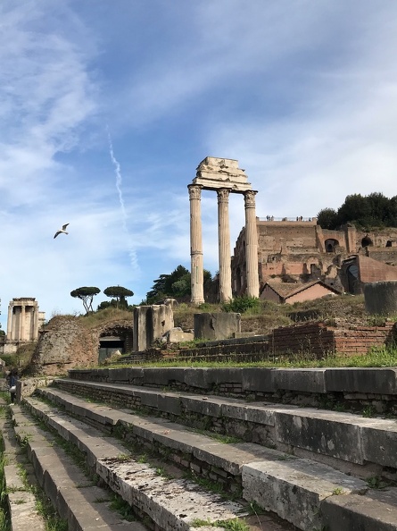 Rome 5 Forum Temple des Dioscures AC.jpeg