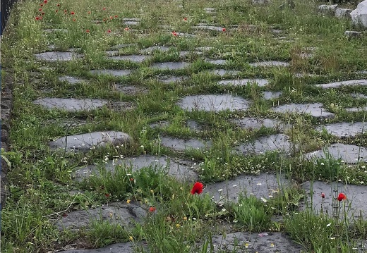 Rome - Capitole Clivus Capitolinus