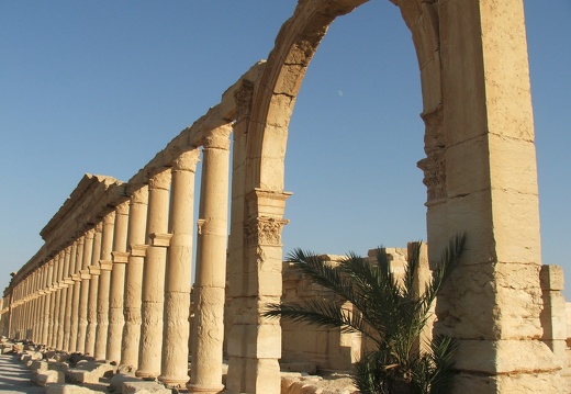 Palmyre - Colonnade de Palmyre - Partie centrale