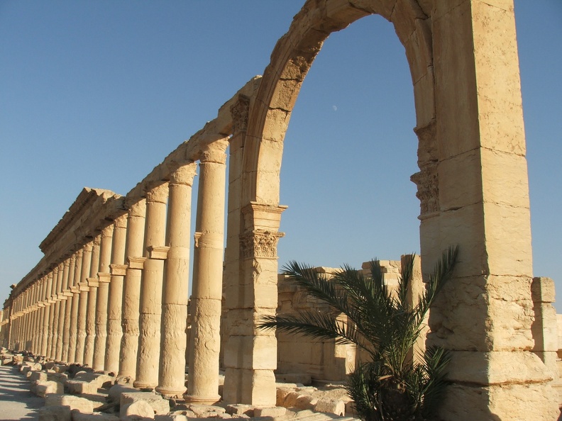 Colonnade de Palmyre, partie centrale.JPG