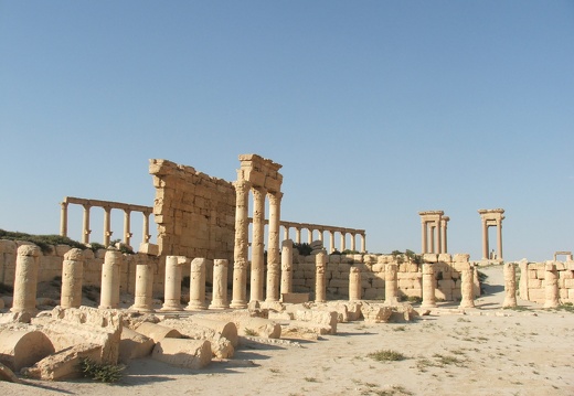 Palmyre - L'agora