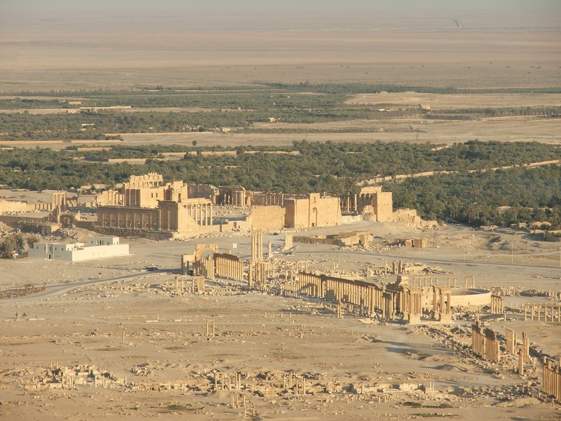 Le site de Palmyre.JPG