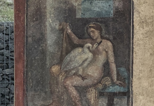 Pompéi - La fresque de Léda et le cygne