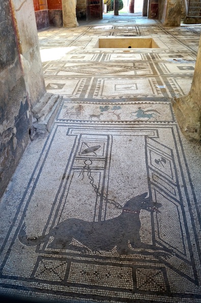 Pompéi - La mosaïque de la maison de Paquius Proculus.jpg