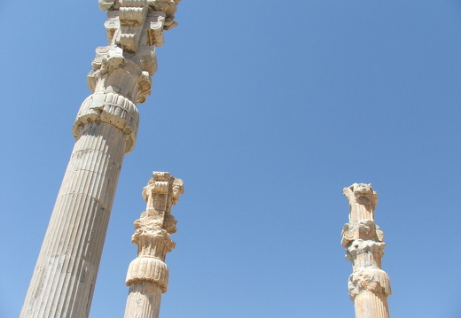 Persépolis - Colonnes composites de l'apadana