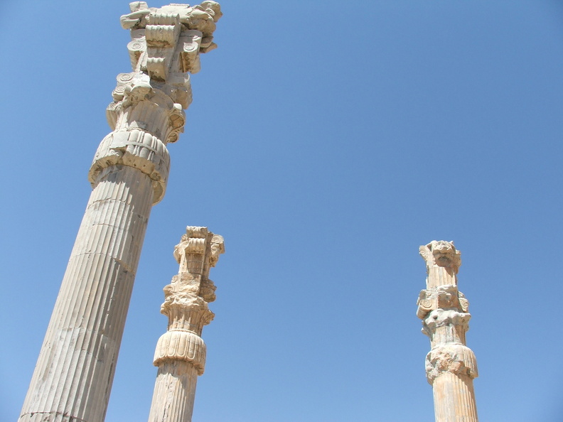 Persépolis, colonnes composites de l'apadana.JPG