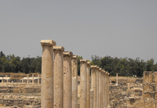 Beït She’an - Colonnade sur le decumanus