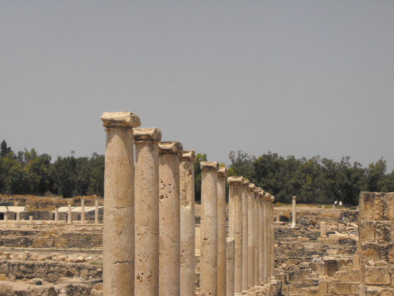 Beït She’an, colonnade sur le decumanus.JPG