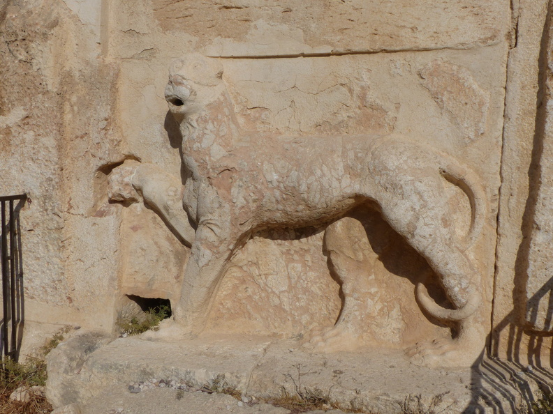 Sur chacun des grands côtés extérieurs du château une panthère ornait une fontaine reliée à une citerne par un canal creusé dans un mur de doublage. Cela illustre combien les bâtisseurs du domaine avaient créé, dès sa fondation, de nombreux dispositifs permettant le captage, lʼacheminement et le stockage de lʼeau. La gueule du fauve à la posture pittoresque se confond avec la bouche de la fontaine d’où jaillissait l’eau tandis que l’emploi d’une pierre tachetée favorise le trompe-l’œil.
CC 4.0 Odysseum, photo F. Poli
Articles à consulter : l’eau dans l’Antiquité, glossaire du Musée virtuel
Iraq al-Amir, fontaine ornée d’une panthère.JPG