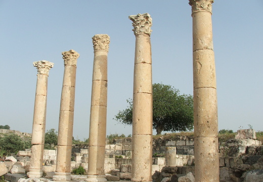 Umm Qeis, colonnade sur le decumanus