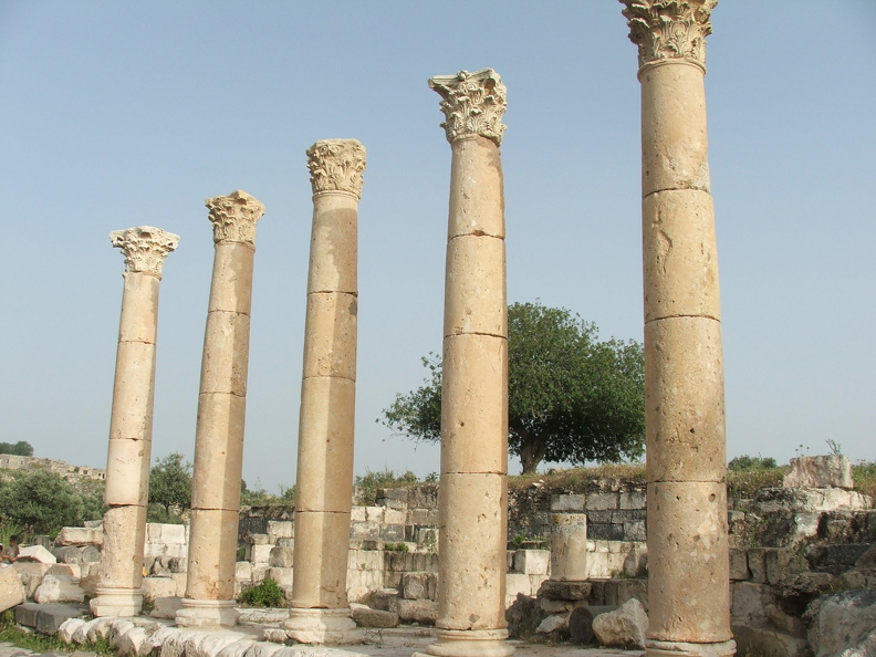 Le decumanus qui parcourt la ville d’est en ouest reliait différents édifices, tels que des thermes, des temples ou plus simplement des boutiques. Subsistent plusieurs colonnes qui encadraient les bâtiments principaux, comme ici cette colonnade aux chapiteaux corinthiens qui longeaient une place (peut-être identifiée à un macellum, marché). À proximité de la rue des boutiques se trouvaient une citerne couverte ainsi qu’un nymphée monumental orné de statues. Il s’élevait sur deux niveaux.
CC 4.0 Odysseum, photo F. Poli
Articles à consulter :
les Romains et l’eau - glossaire du Musée virtuel
Umm Qeis, colonnade sur le decumanus.JPG