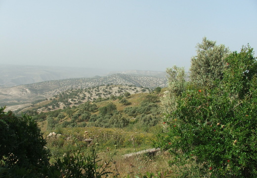 Umm Qeis, paysage environnant