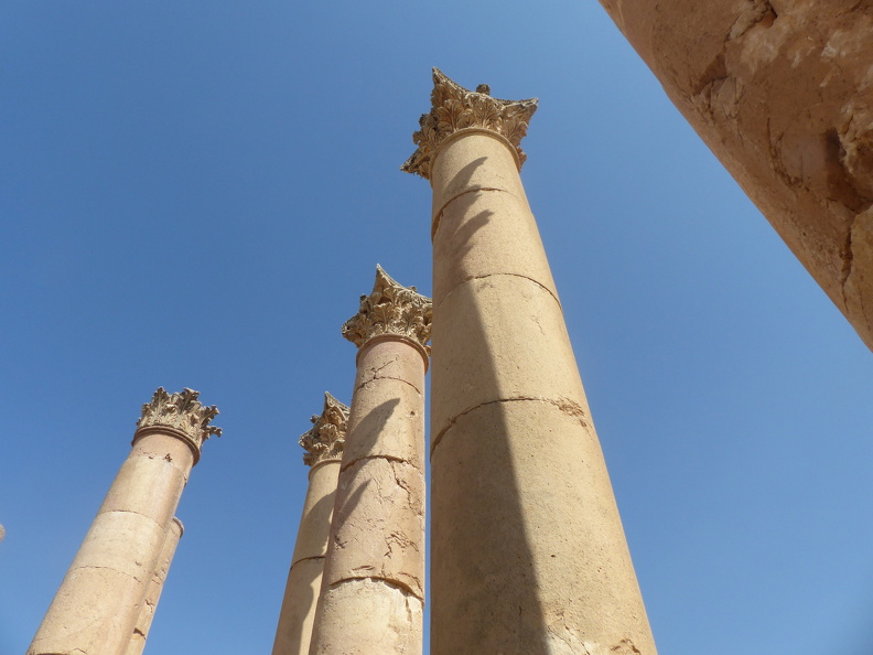 Les colonnes centrales et latérales du temple d’Artémis impressionnent par leur majesté et la délicatesse de leur décor corinthien. Par grand vent, dit-on, on peut les sentir bouger sur leur base. Après l’édit de Théodose Ier, en 380 ap. J.-C., qui autorisa le démantèlement des sanctuaires païens, les décors et matériaux précieux du temple furent récupérés par des bâtisseurs. On a relevé onze des douze colonnes abattues par le tremblement de terre du VIIe s. ap. J.-C.
CC 4.0 Odysseum, photo F. Poli
Articles à consulter :
chronologie de l’histoire romaine - glossaire du Musée virtuel
Jerash, colonnes corinthiennes du temple d’Artémis.JPG
