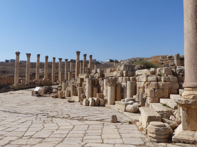 Implanté sur le cardo maximus, cet ancien marché (macellum) daté de la fin du IIe s. ap. J.-C. témoigne de l’urbanisme sophistiqué de Jerash. On y entrait par une triple porte. Sa cour intérieure bordée de colonnes disposées en octogone était ornée au centre d’une fontaine monumentale de même forme. Dans les nombreuses pièces latérales, des tables hautes posées sur des tréteaux aux pattes et gueules de félin ou de chèvre permettaient aux changeurs et aux marchands de mener leurs affaires.
CC 4.0 Odysseum, photo F. Poli
Articles à consulter :
urbanisme des villes romaines - glossaire du Musée virtuel
Jerash, le macellum (marché).JPG