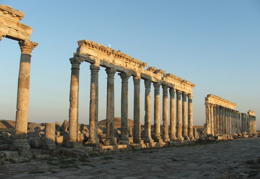 Apamée, la grande colonnade nord-sud