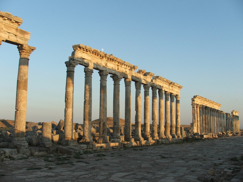 Au XXe siècle, 400 colonnes abattues par les séismes du XIIe s ont été relevées. Apamée, ville de garnison qui abrita les haras du royaume séleucide peuplé de chevaux et d’éléphants précise l’historien grec Strabon, (Géographie, II, 10) se dota dès le IIe s. ap. J.-C. de vastes maisons décorées de mosaïques. L’une d’elles représente Socrate entouré des Sages de l’Antiquité. La ville abrita d’importantes écoles philosophiques. Jamblique (245 - 325 ap. J.-C.) y fonda l’école néo-platonicienne.
CC 4.0 Odysseum, photo F. Poli
Articles à consulter : l’art de la mosaïque - glossaire du musée virtuel
Apamée, la grande colonnade nord-sud.JPG