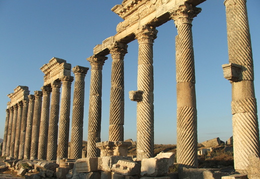 Apamée, colonnes torsadées de la grande colonnade
