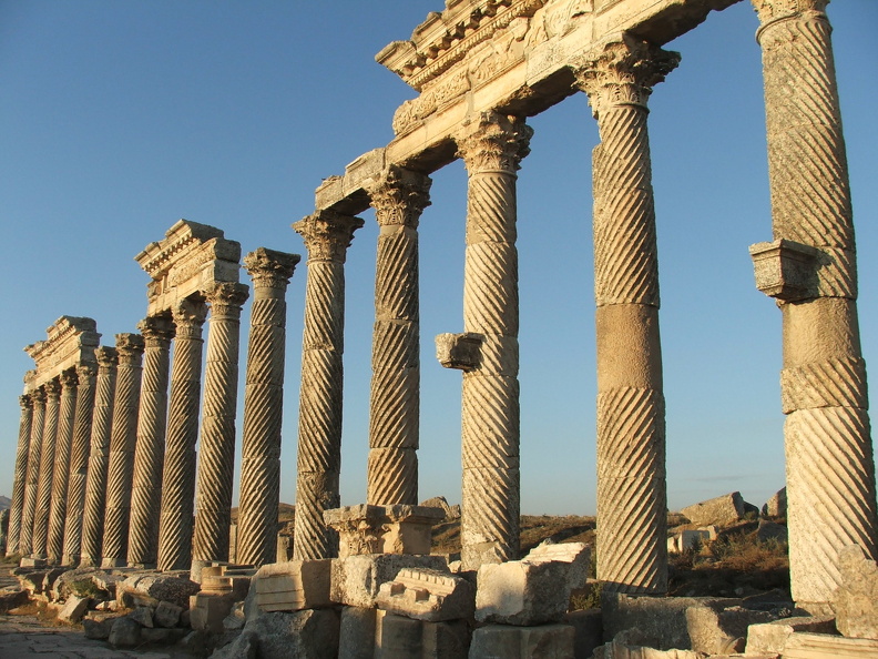 Les colonnes de certains portiques revêtent un décor de cannelures torses. Les excroissances de pierre servaient de socles aux statues qui décoraient le cardo maximus. Ces colonnes torsadées font face à l’entrée de l’agora de la cité, une vaste place publique de 45 m de long qui s’étirait parallèlement à la rue principale. Sous les portiques s’alignaient des boutiques aux façades peintes ou décorées d’un placage de faux marbre. On y vendait des produits régionaux tels que du vin ou des olives.
CC 4.0 Odysseum, photo F. Poli
Article à consulter : glossaire du musée virtuel
Apamée, colonnes torsadées de la grande colonnade.JPG