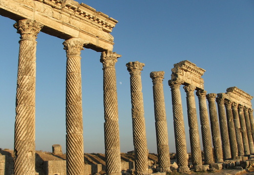 Apamée, portique de la grande colonnade, détail