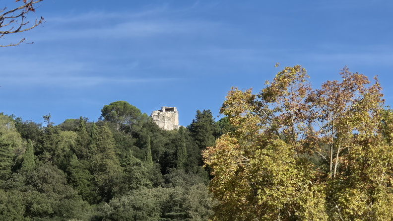 Une végétation luxuriante enserre la Tour Magne, perchée au sommet du Mont Cavalier. Consommateurs d’épices et de plantes aromatiques, les Romains ont introduit de nouvelles essences de plantes à l’occasion de la conquête de la Gaule, notamment le cyprès, le laurier, le buis et le romarin. Les espèces à feuillages persistants étaient prisées afin de conserver la verdure des jardins, mais les plantes possédaient également des vertus culinaires, médicinales ou des valeurs symboliques et sacrées.
Photos CC 4.0 Odysseum, classe de P. Cochet Terrasson 2025
Articles à consulter :
La cuisine romaine - La médecine à Rome - Glossaire du musée virtuel
Nîmes, la Tour Magne au sommet du Mont Cavalier .jpg