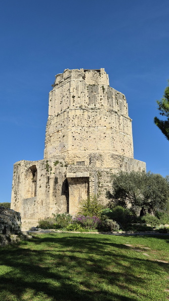 Construite vers 15 av. J.-C. autour d’une tour gauloise en pierres sèches, la Tour Magne (du latin magnus, grand) était le point culminant de l’enceinte romaine dotée de 80 tours délimitant Nemausus. Visible de loin, la Tour octogonale témoignait de la puissance romaine et signalait la présence d’un sanctuaire à Nemausos, au pied du Mont Cavalier. En 1601, convaincu qu’elle cachait un trésor, un jardinier nîmois faillit la détruire. Après réparation, elle devint un relais de télégraphe en 1832.
Photos CC 4.0 Odysseum, classe de P. Cochet Terrasson 2025
Article à consulter :
Glossaire du musée virtuel
Nîmes, la Tour Magne.jpg